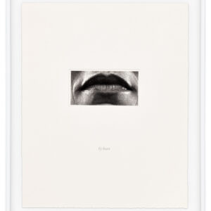 15 Mouths by Lorna Simpson, a 2002 set of 15 prints at Krakow Witkin Gallery, Boston