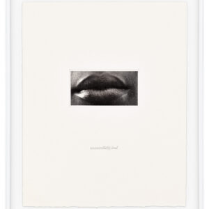 15 Mouths by Lorna Simpson, a 2002 set of 15 prints at Krakow Witkin Gallery, Boston