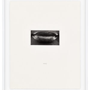 15 Mouths by Lorna Simpson, a 2002 set of 15 prints at Krakow Witkin Gallery, Boston