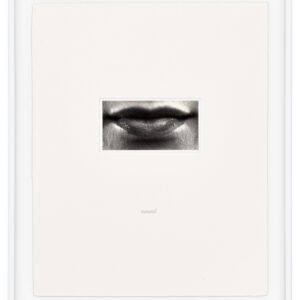 15 Mouths by Lorna Simpson, a 2002 set of 15 prints at Krakow Witkin Gallery, Boston