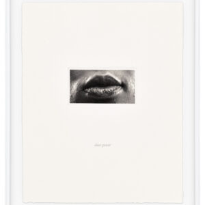 15 Mouths by Lorna Simpson, a 2002 set of 15 prints at Krakow Witkin Gallery, Boston