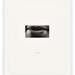 15 Mouths by Lorna Simpson, a 2002 set of 15 prints at Krakow Witkin Gallery, Boston