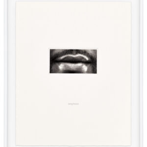 15 Mouths by Lorna Simpson, a 2002 set of 15 prints at Krakow Witkin Gallery, Boston