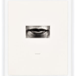 15 Mouths by Lorna Simpson, a 2002 set of 15 prints at Krakow Witkin Gallery, Boston