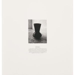 Van Der Zee Prop Vase by Lorna Simpson, a 1993 Print at Krakow Witkin Gallery, Boston
