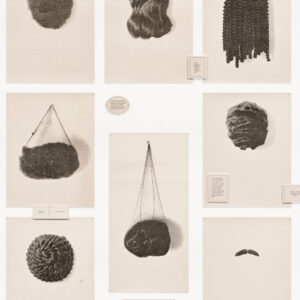 Wigs by Lorna Simpson, a 1994 print installation at Krakow Witkin Gallery, Boston