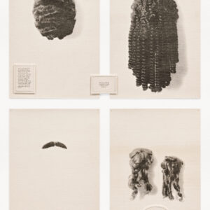 Wigs by Lorna Simpson, a 1994 print installation at Krakow Witkin Gallery, Boston