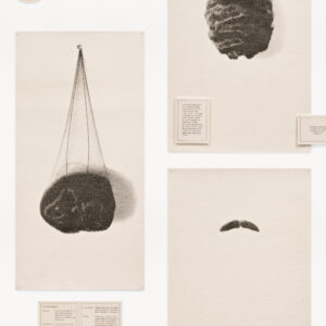 Wigs by Lorna Simpson, a 1994 print installation at Krakow Witkin Gallery, Boston