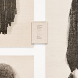 Wigs by Lorna Simpson, a 1994 print installation at Krakow Witkin Gallery, Boston