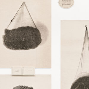 Wigs by Lorna Simpson, a 1994 print installation at Krakow Witkin Gallery, Boston
