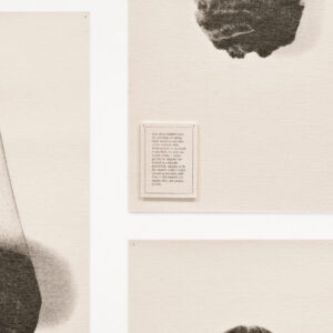 Wigs by Lorna Simpson, a 1994 print installation at Krakow Witkin Gallery, Boston