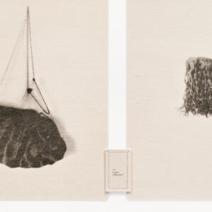 Wigs by Lorna Simpson, a 1994 print installation at Krakow Witkin Gallery, Boston