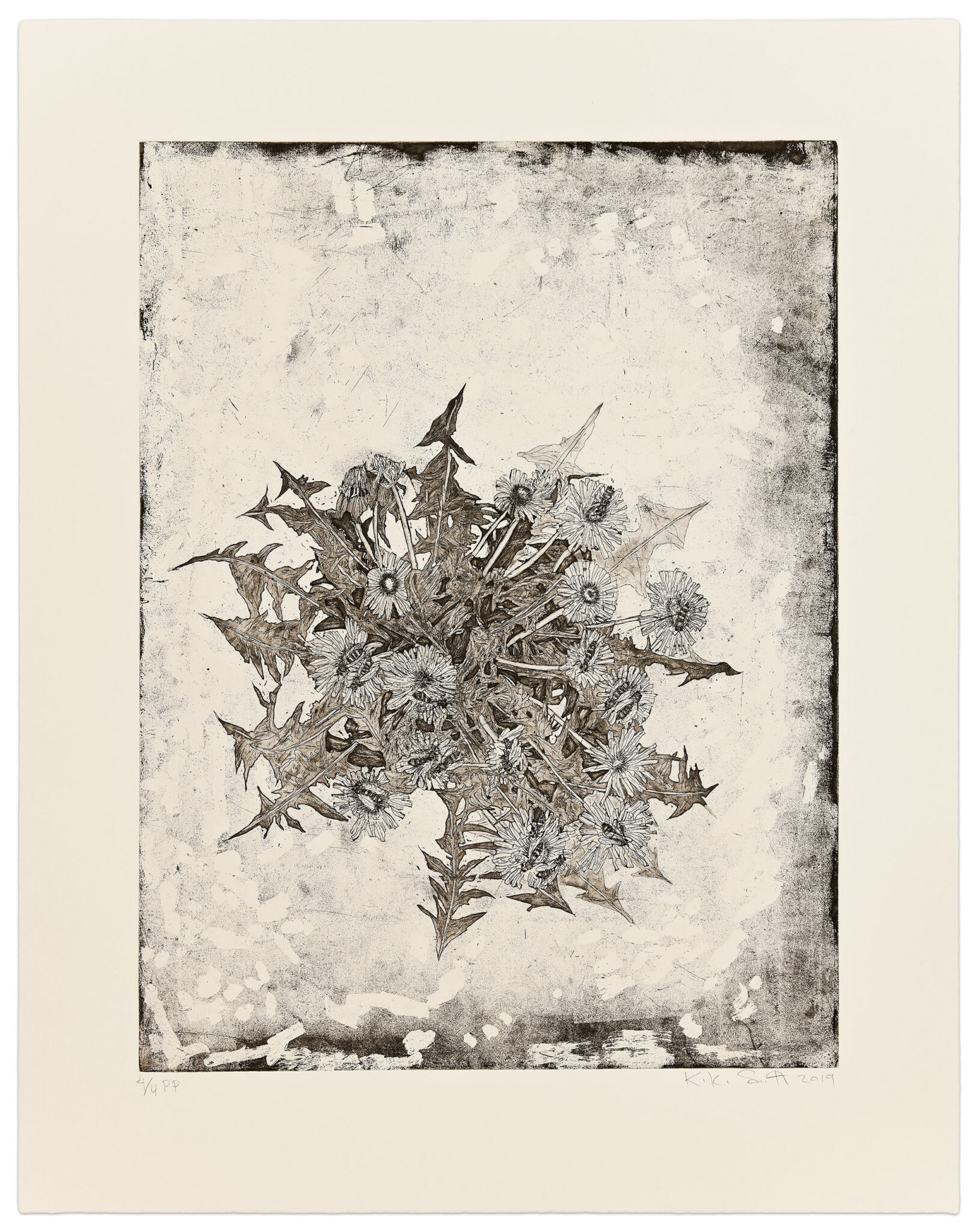Pusteblume by Kiki Smith, a 2019 Print at Krakow Witkin Gallery, Boston