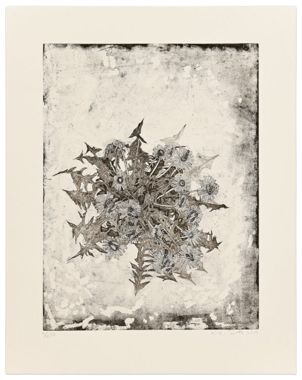 Pusteblume by Kiki Smith, a 2019 Print at Krakow Witkin Gallery, Boston