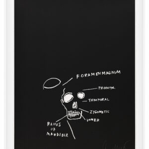 Anatomy by Jean-Michel Basquiat, a 1982 portfolio of 18 prints at Krakow Witkin Gallery, Boston