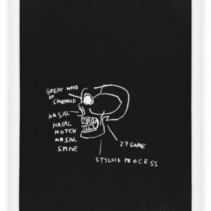 Anatomy by Jean-Michel Basquiat, a 1982 portfolio of 18 prints at Krakow Witkin Gallery, Boston