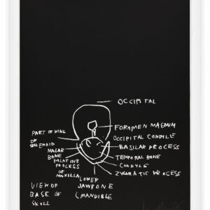 Anatomy by Jean-Michel Basquiat, a 1982 portfolio of 18 prints at Krakow Witkin Gallery, Boston