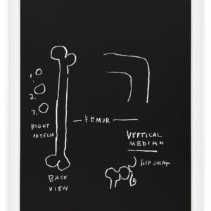 Anatomy by Jean-Michel Basquiat, a 1982 portfolio of 18 prints at Krakow Witkin Gallery, Boston