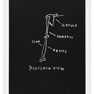 Anatomy by Jean-Michel Basquiat, a 1982 portfolio of 18 prints at Krakow Witkin Gallery, Boston
