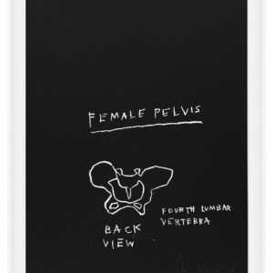 Anatomy by Jean-Michel Basquiat, a 1982 portfolio of 18 prints at Krakow Witkin Gallery, Boston