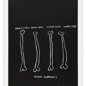 Anatomy by Jean-Michel Basquiat, a 1982 portfolio of 18 prints at Krakow Witkin Gallery, Boston
