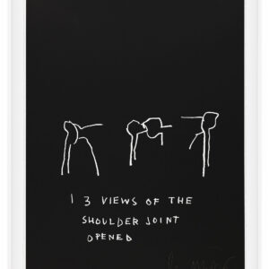 Anatomy by Jean-Michel Basquiat, a 1982 portfolio of 18 prints at Krakow Witkin Gallery, Boston