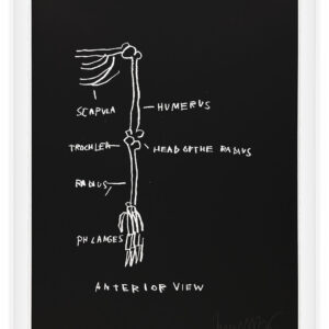 Anatomy by Jean-Michel Basquiat, a 1982 portfolio of 18 prints at Krakow Witkin Gallery, Boston