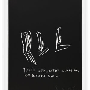 Anatomy by Jean-Michel Basquiat, a 1982 portfolio of 18 prints at Krakow Witkin Gallery, Boston