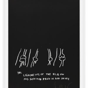 Anatomy by Jean-Michel Basquiat, a 1982 portfolio of 18 prints at Krakow Witkin Gallery, Boston