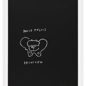 Anatomy by Jean-Michel Basquiat, a 1982 portfolio of 18 prints at Krakow Witkin Gallery, Boston