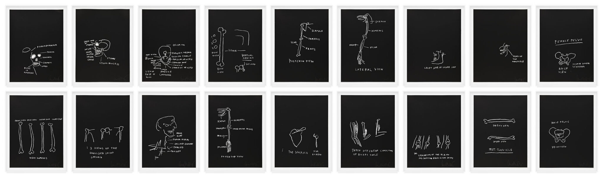 Anatomy by Jean-Michel Basquiat, a 1982 portfolio of 18 prints at Krakow Witkin Gallery, Boston