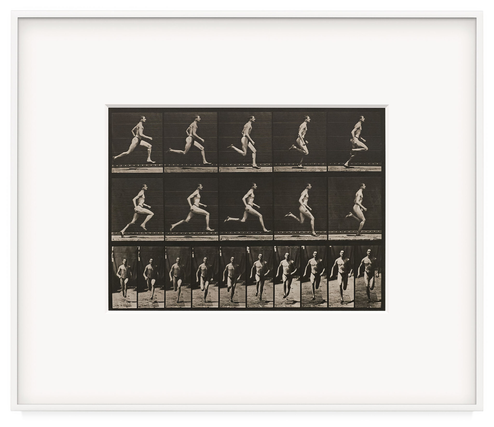 Human and Animal Locomotion, Plate 60. Runnng at a half-mile gait (shoes) by Eadweard Muybridge, a 1887 Photograph at Krakow Witkin Gallery, Boston